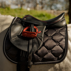 Horse Tack